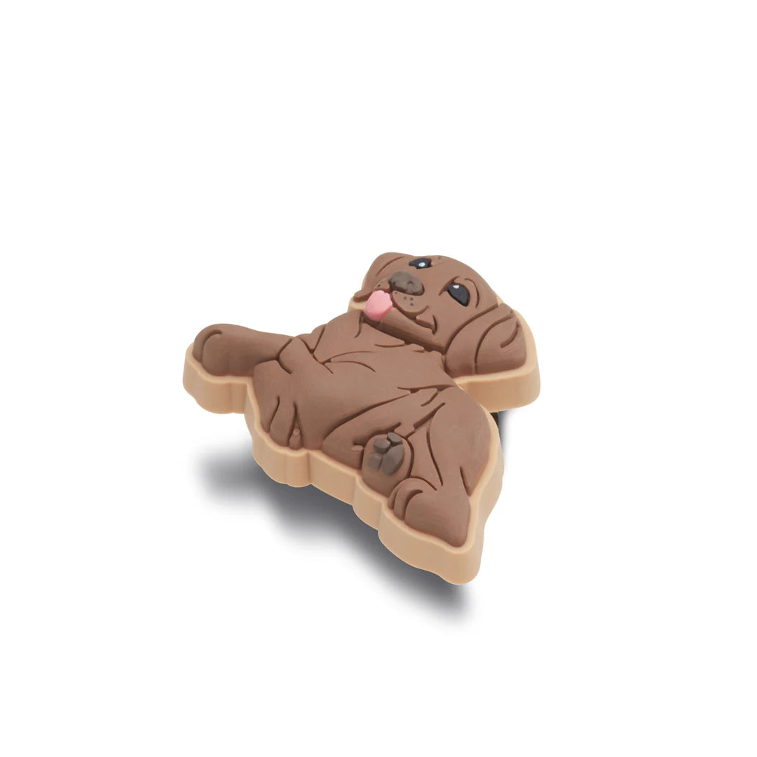 Jibbitz Brown Lab Puppy