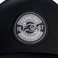 Panthers Media Cap 2025