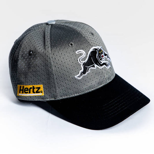 Panthers Training Cap 2025