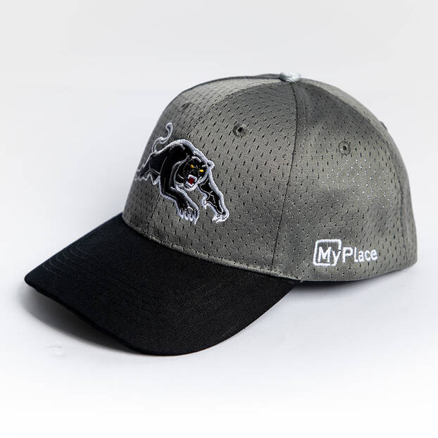 Panthers Training Cap 2025