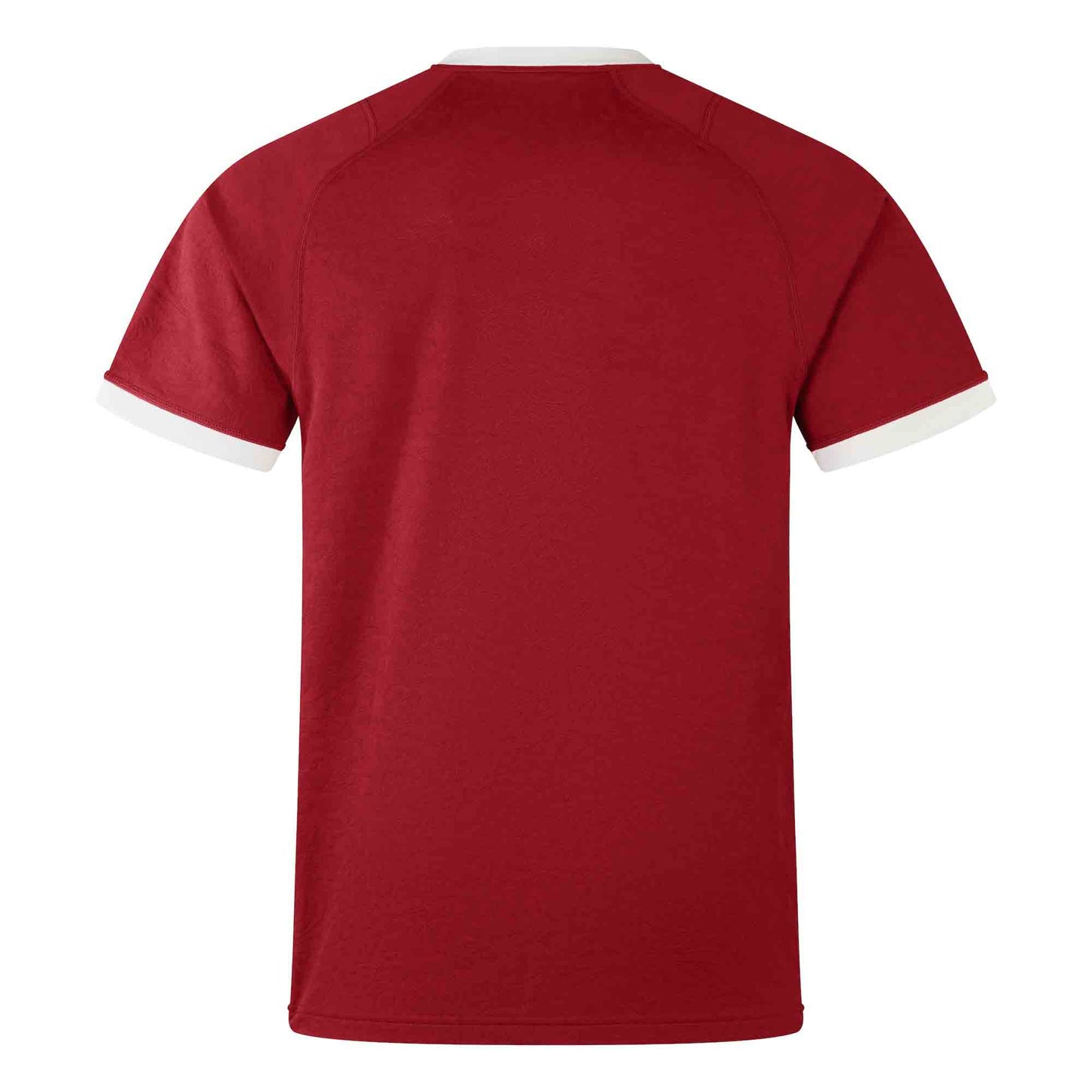 British & Irish Lions Tour 25 Jersey