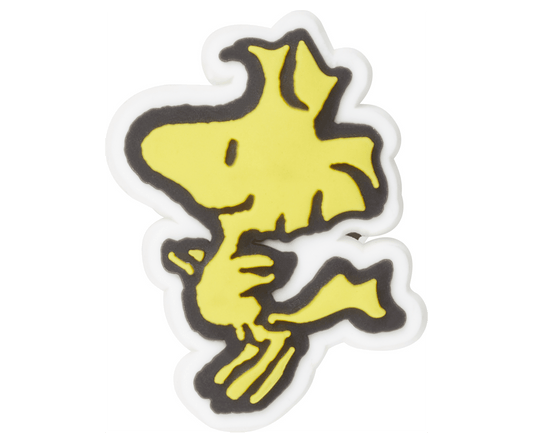 Jibbitz Peanuts Woodstock