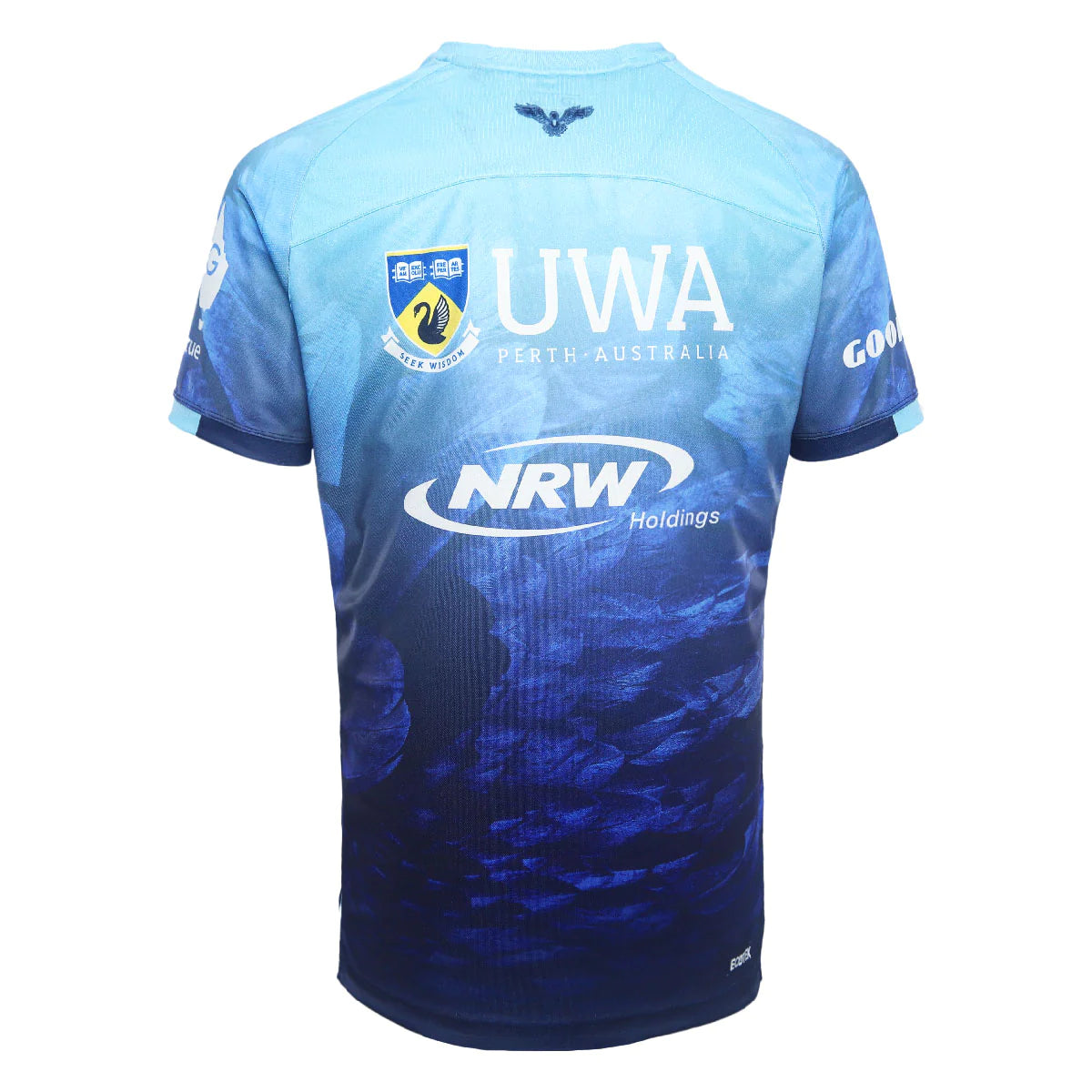 Western Force Training Tee 2024 - blue