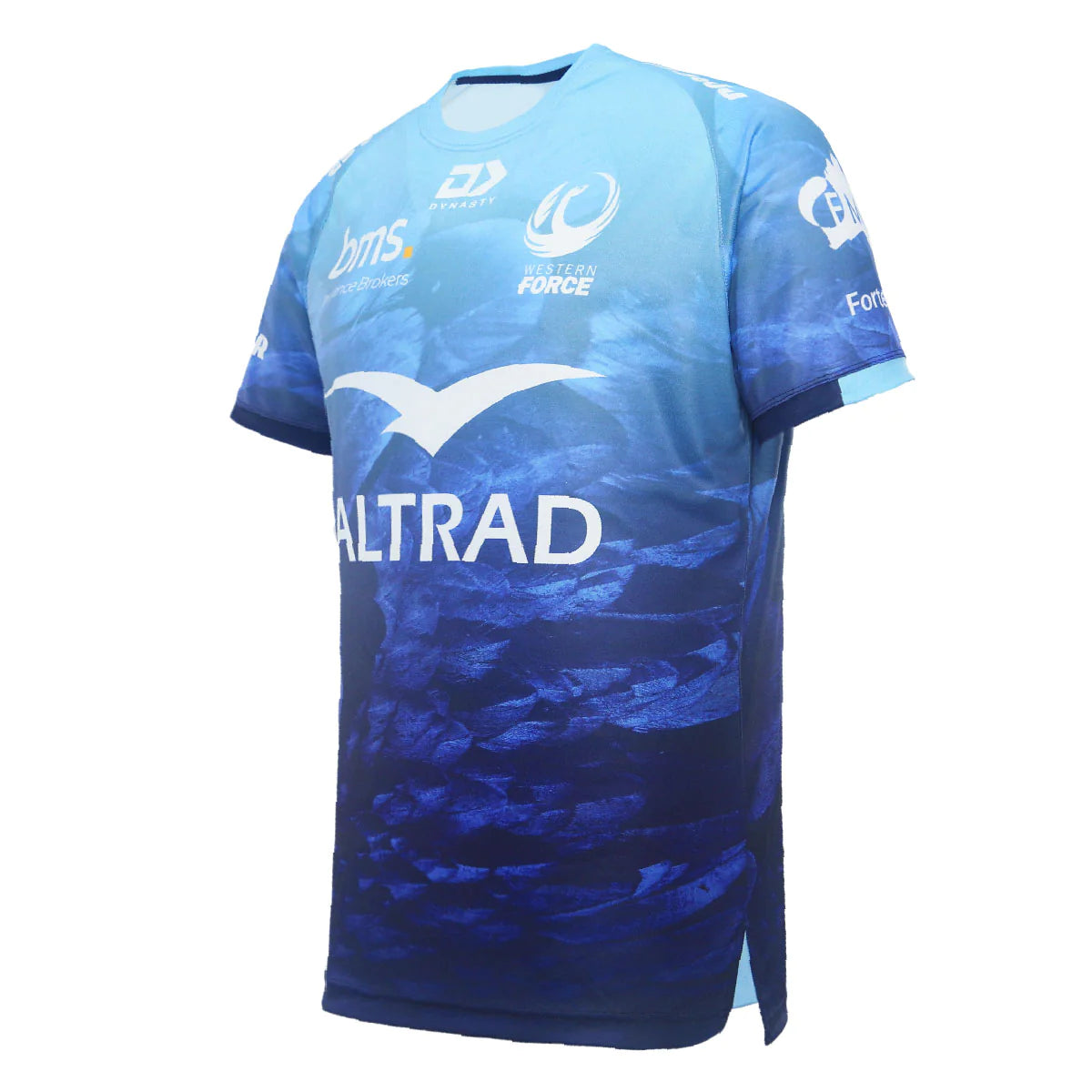 Western Force Training Tee 2024 - blue