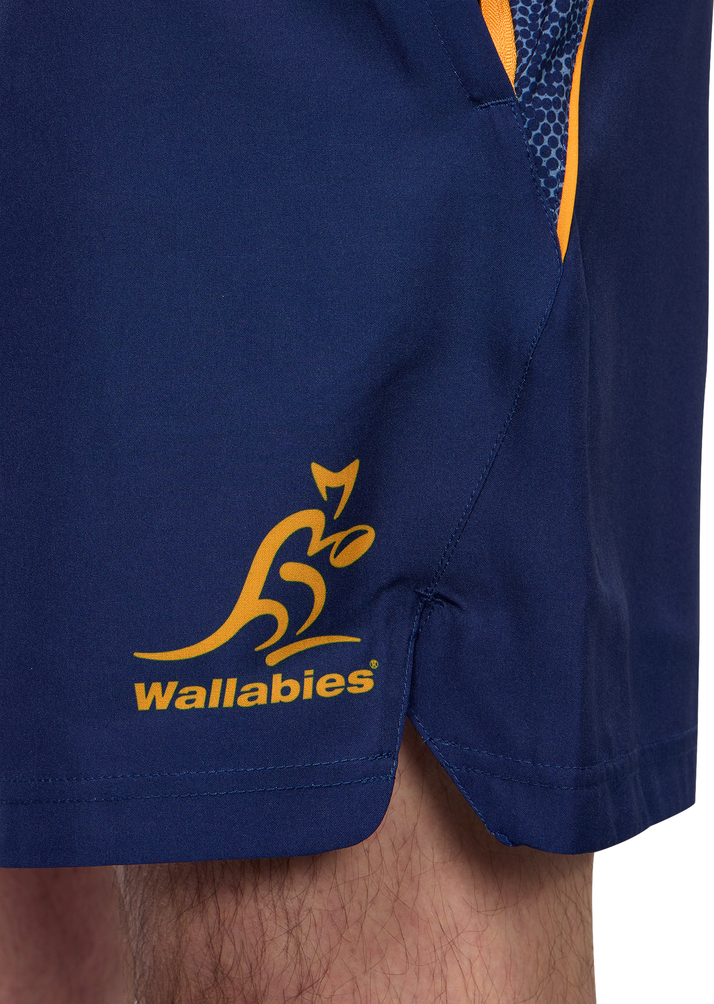 Wallabies Lions Tour Gym Shorts 2025