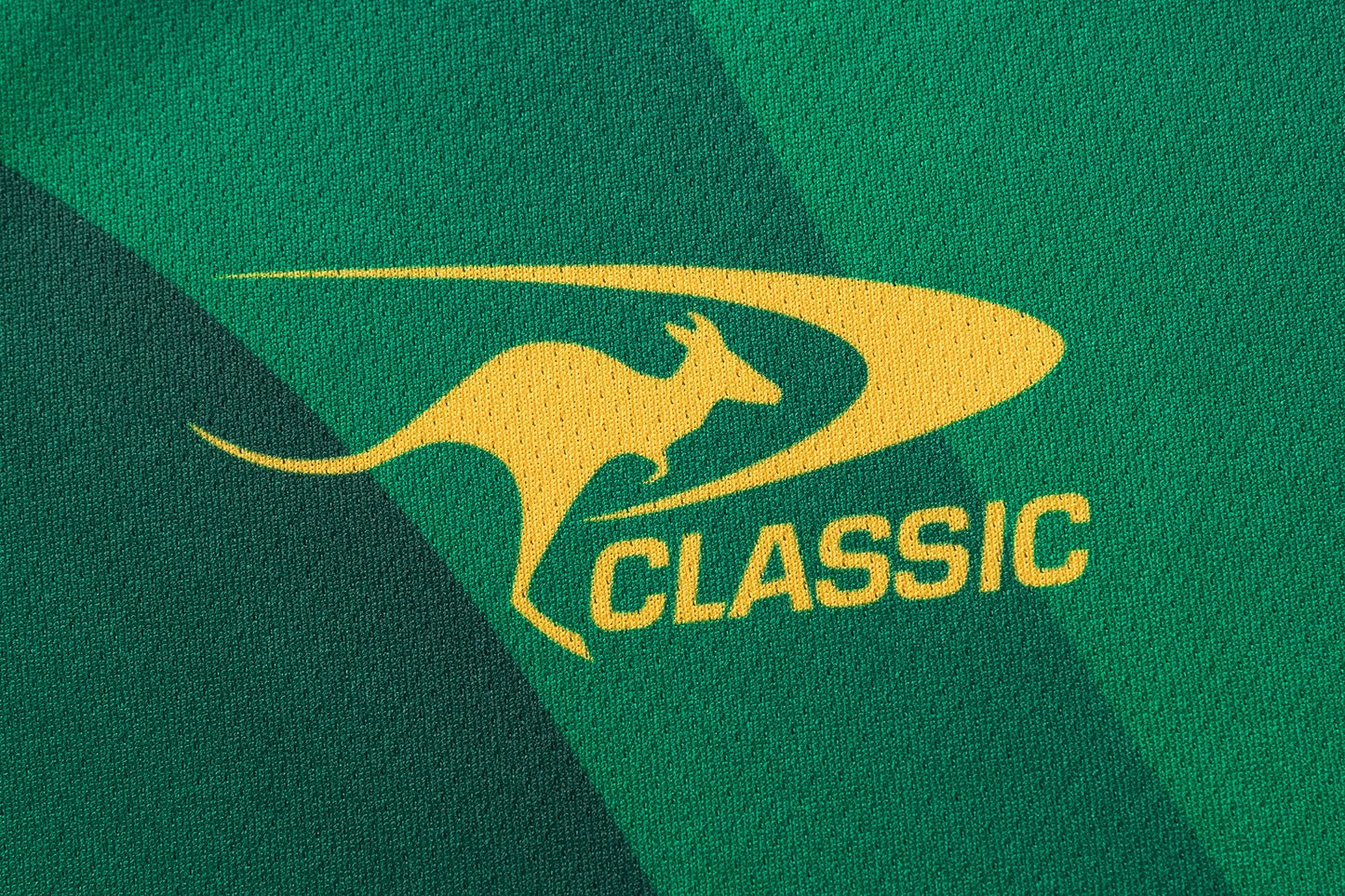 Kangaroos Training Tee 2026