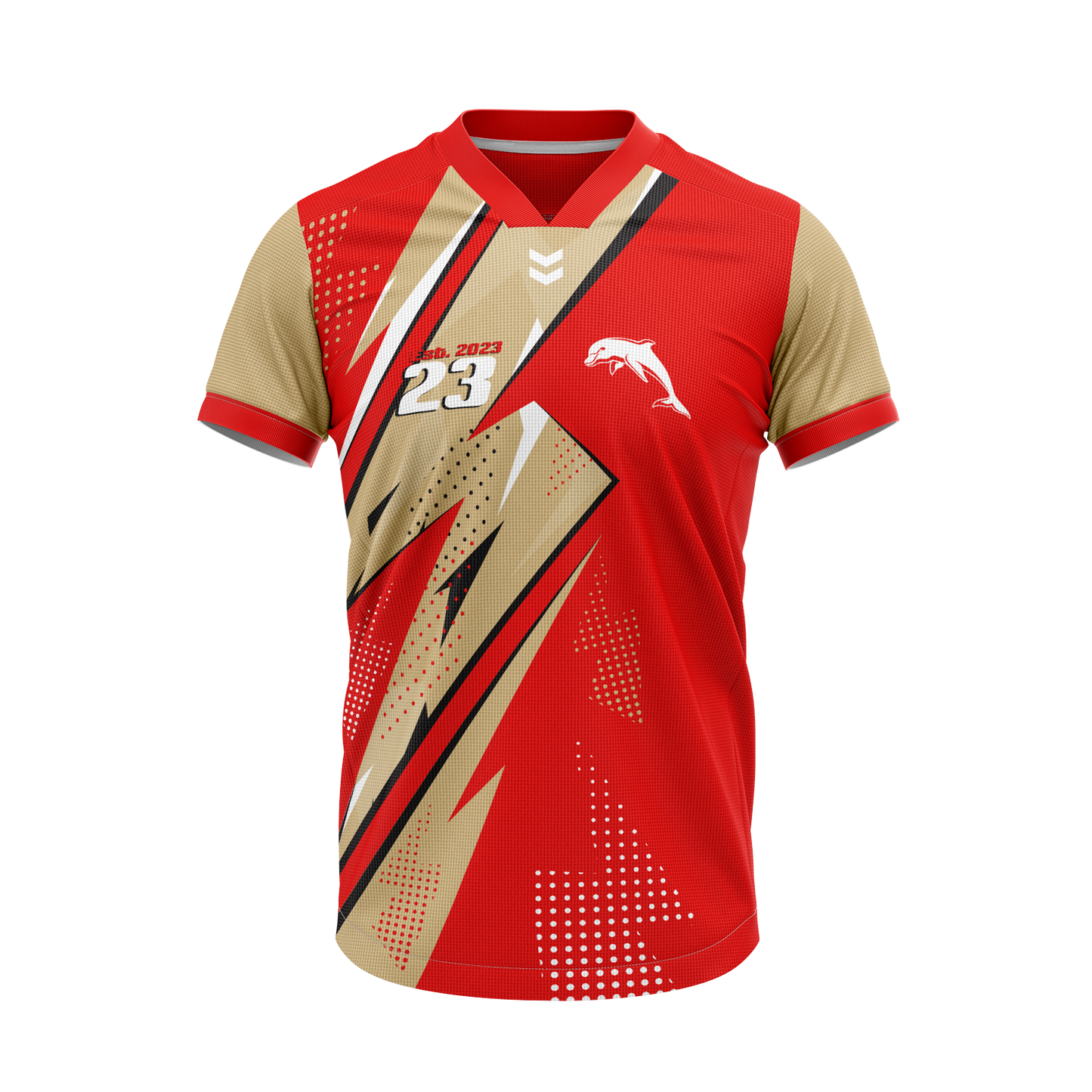 Dolphins Thunderstruck Kids Tee