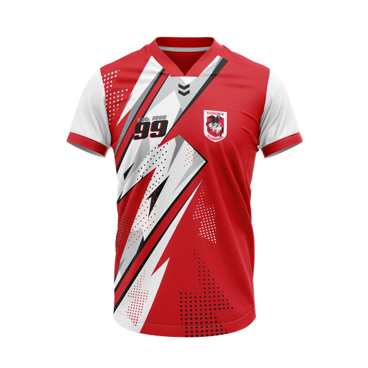 Dragons Thunderstruck Kids Tee