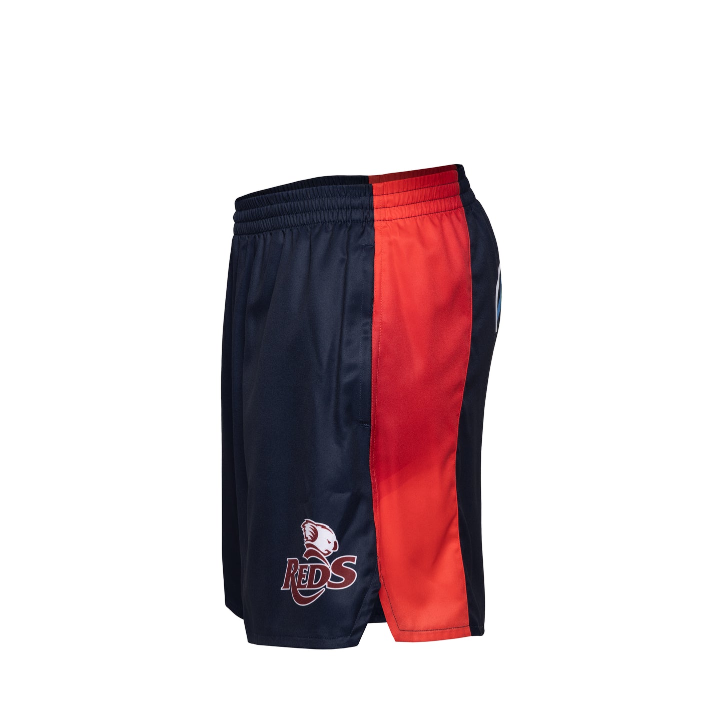 QLD Reds Gym Shorts 2026 - navy